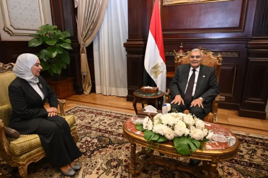 رئيس مجلس الشيوخ يلتقي سفيرة البحرين بالقاهرة |صور