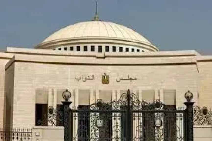 ننشر جدول أعمال الجلسة الافتتاحية لمجلس النواب الجديد بالعاصمة الجديدة