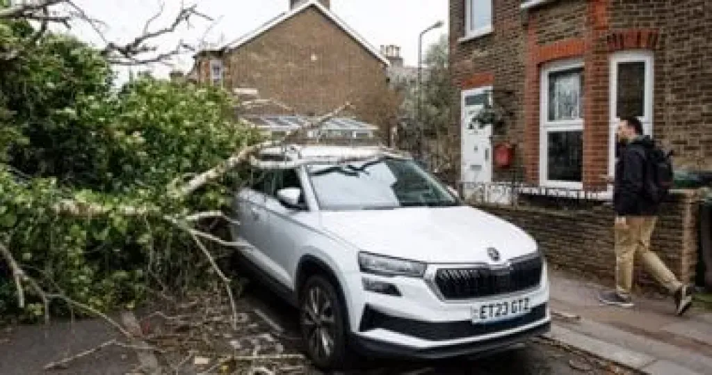 رياح عاتية تنهى رحلة ثلاثة متسلقين فى جبال جنوب كاليفورنيا