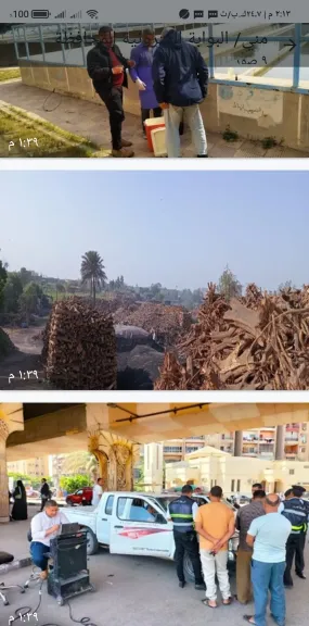 بيئة الشرقية : تجميع ١٨٩ ألف طن قش أرز لمواجهة السحابة السوداء