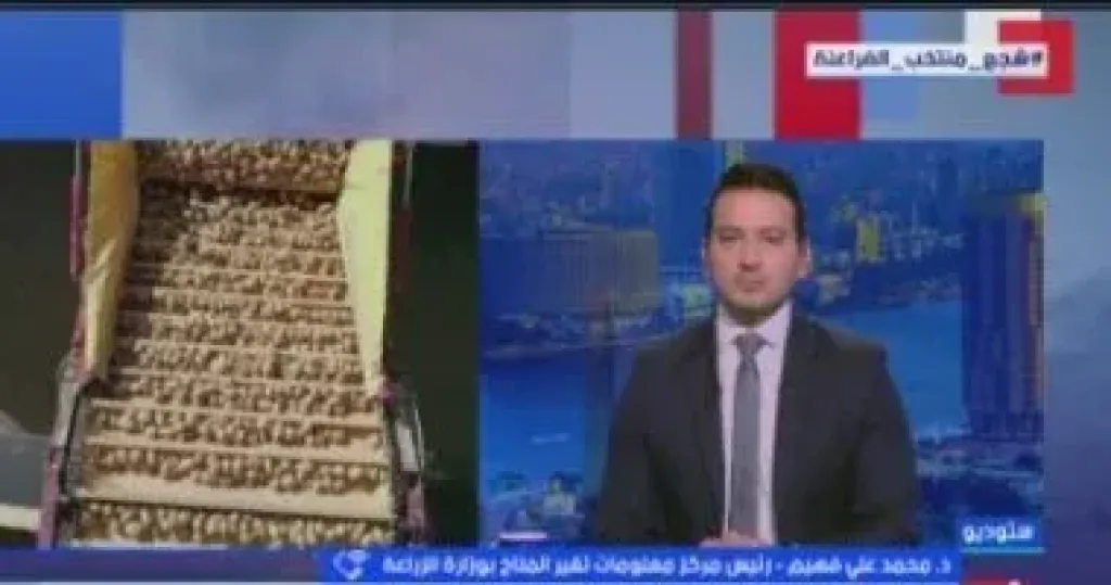 رئيس مركز معلومات تغير المناخ بالزراعة يوجه تحذيرات عاجلة للمزارعين لمواجهة موجة البرد