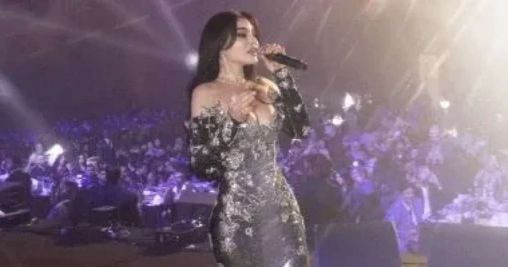 هيفاء وهبي تتألق بحفل غنائى فى ليلة رأس السنة بأبو ظبى