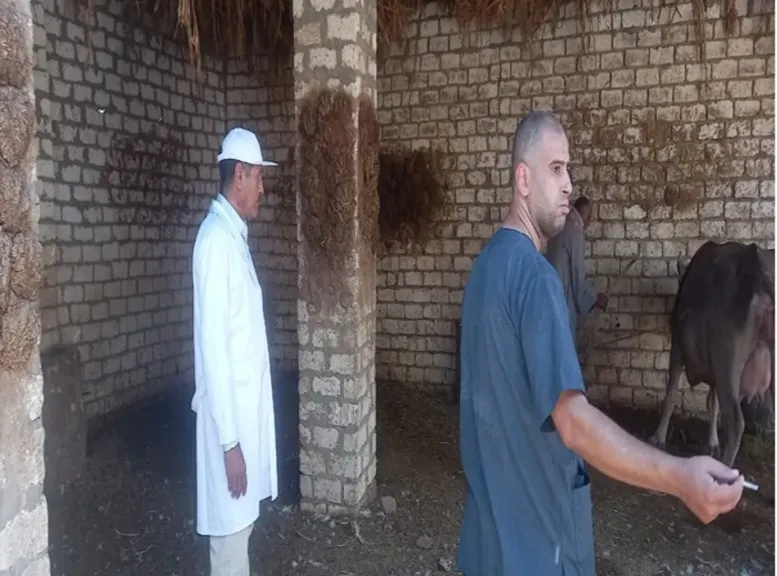 محافظ أسيوط: 2025 يشهد نقلة نوعية في منظومة الطب البيطري