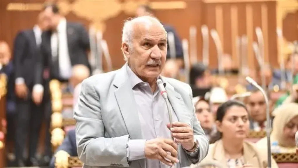 النائب السيد عبدالعال 