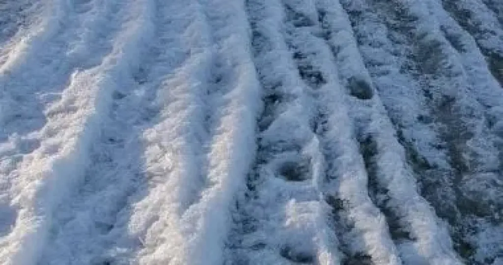 مركز المناخ يكشف كواليس موجة الصقيع وكيفية حماية المحاصيل