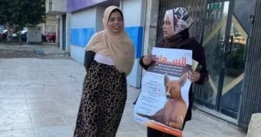 إنشاء «شيلتر» لإيواء الكلاب الضالة فى السويس