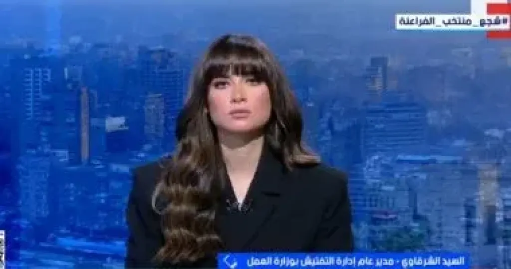 وزارة العمل: لا تهاون فى تطبيق الحد الأدنى للأجور ونستهدف حماية 30 ألف عامل