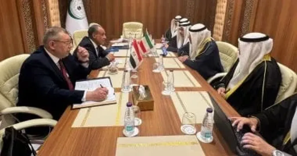 وزير الخارجية: وحدة الصومال ركيزة أساسية لاستقرار منطقة القرن الأفريقي