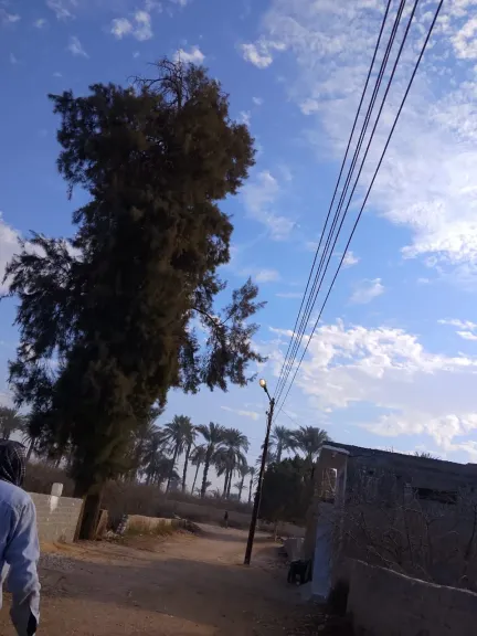 محافظ أسيوط: استمرار أعمال رفع كفاءة الإنارة العامة وتكثيف الصيانة