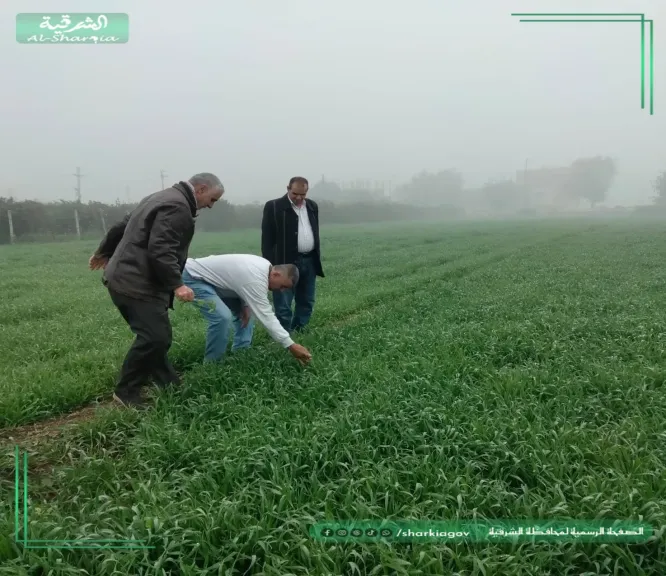 ندوات إرشادية ومرورميداني وعقد برامج توعوية بمديرية زراعة الشرقية