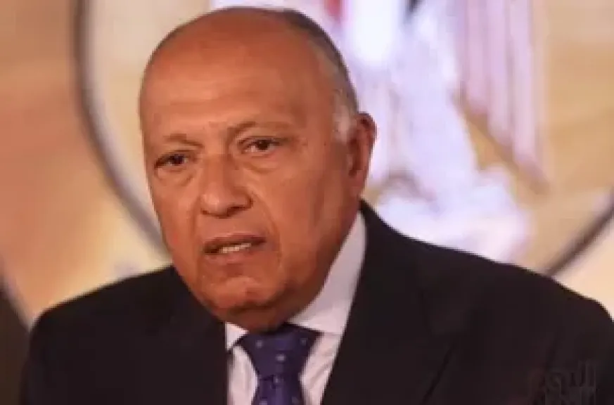 السيرة الذاتية لسامح شكرى وزير الخارجية السابق بعد تعيينه فى مجلس النواب