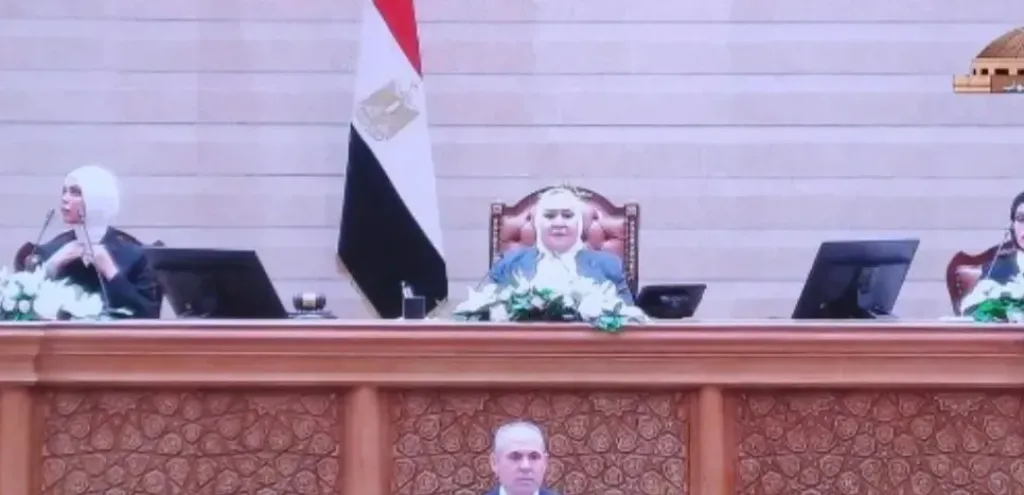 عبلة الهواري تؤدي اليمين الدستورية كأول نائبة بالمجلس الجديد