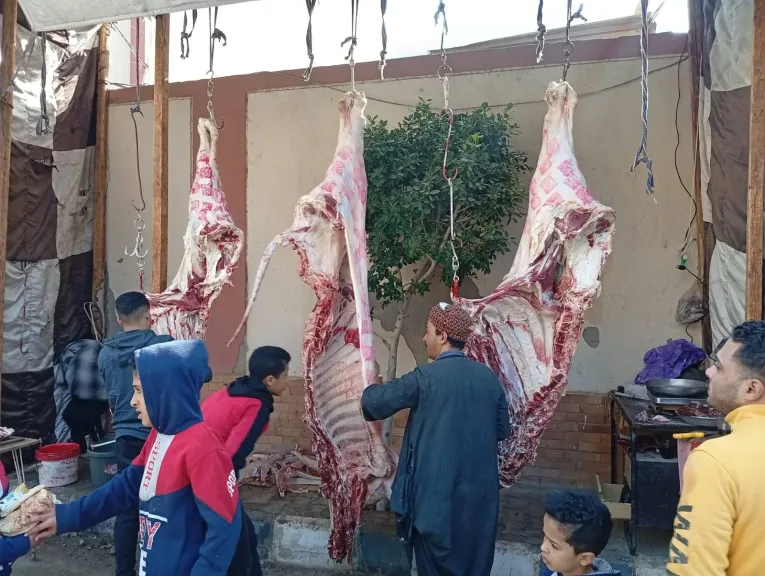محافظ أسيوط: استمرار بيع كيلو اللحوم البلدية بـ290 جنيهًا بمنافذ منفلوط