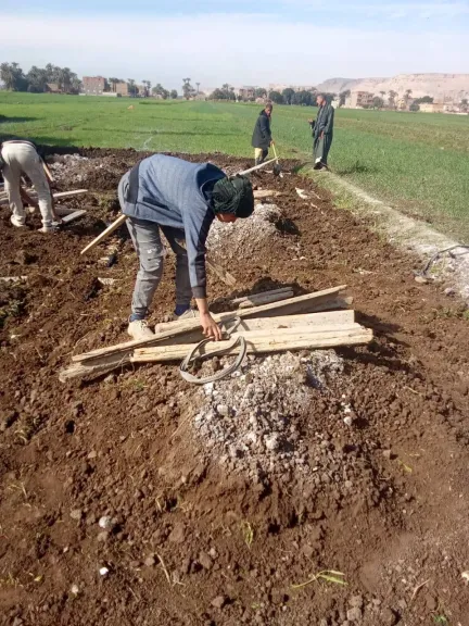 محافظ أسيوط: إزالة 17 حالة تعدي على مباني وأراضي زراعية في 4 مراكز