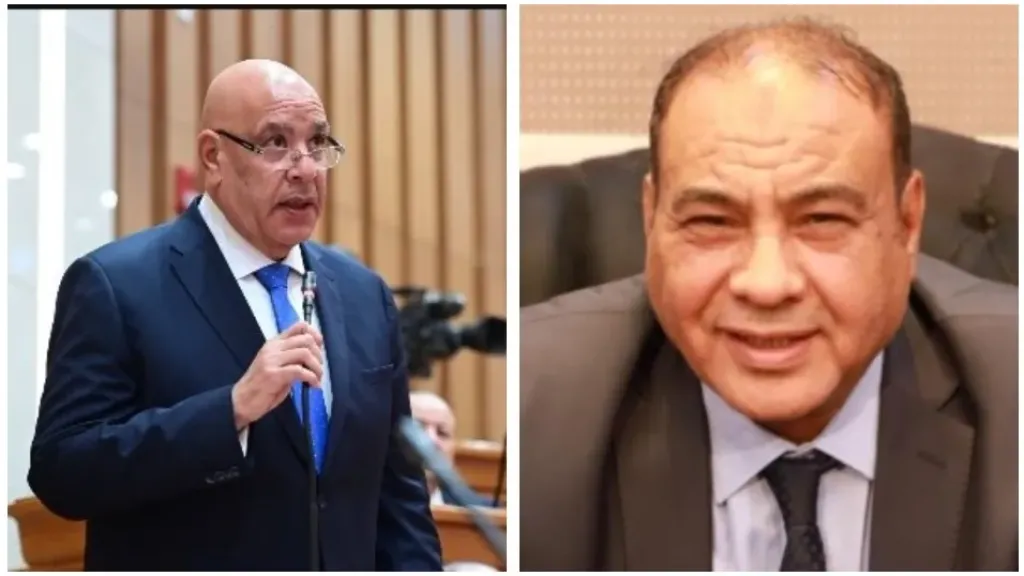 محمد سليم يهنئ المستشار هشام بدوي برئاسة مجلس النواب