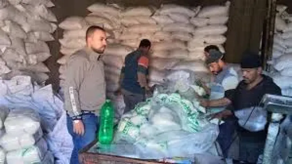 حملات تمونيه