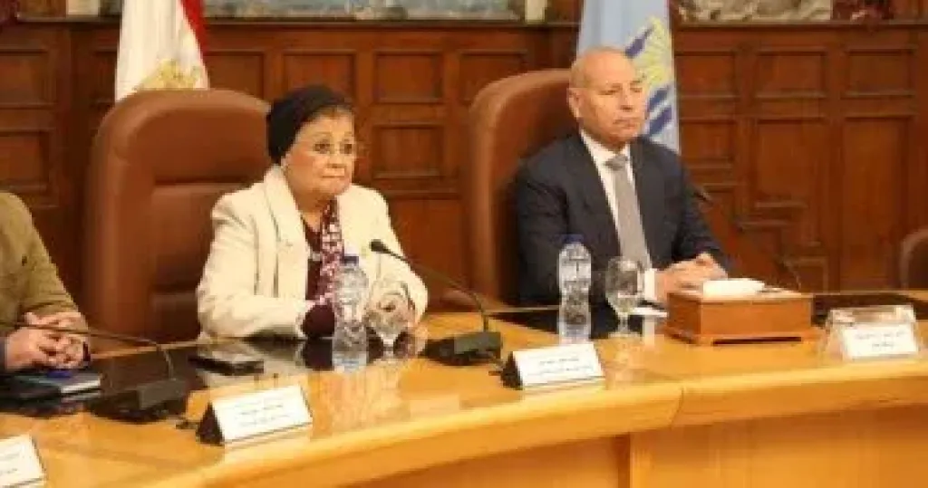 محافظ القاهرة 