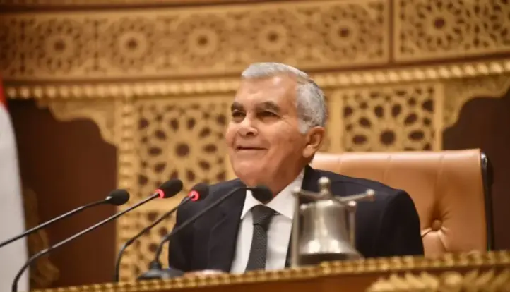 « الشيوخ » يناقش تنظيم استخدام الأطفال للموبايل وحمايتهم من مخاطر السوشيال.. الأحد