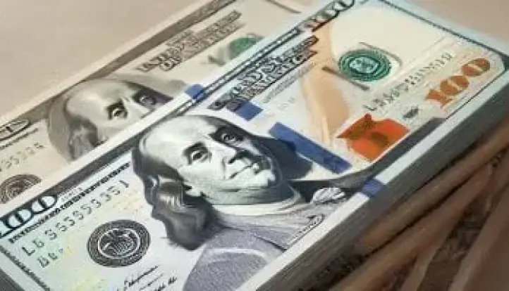 سعر الدولار مقابل الجنيه داخل البنك الأهلى المصرى