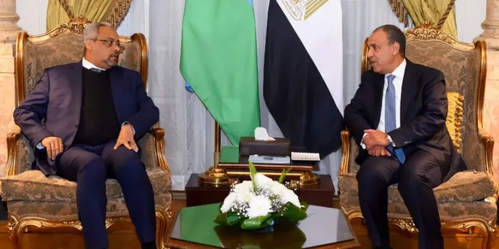 وزير الخارجية يبحث مع نظيره الجيبوتى سبل تعزيز العلاقات الثنائية