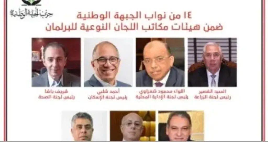 14 نائبا من الجبهة الوطنية ضمن هيئات مكاتب اللجان النوعية لمجلس النواب
