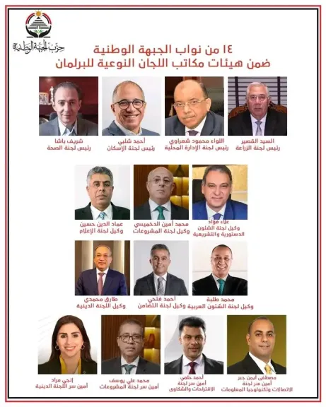 ١٤من نواب الجبهة الوطنية ضمن هيئات مكاتب اللجان النوعية للبرلمان المصرى