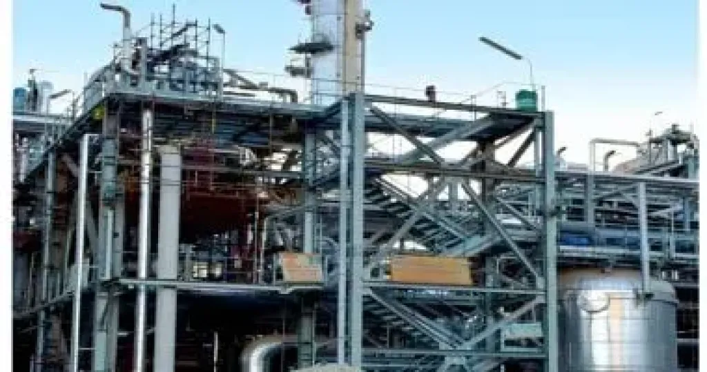 وزير التجارة الإماراتي: الجابون شريك اقتصادي واعد للإمارات بفضل مقومات اقتصادها المستقرة