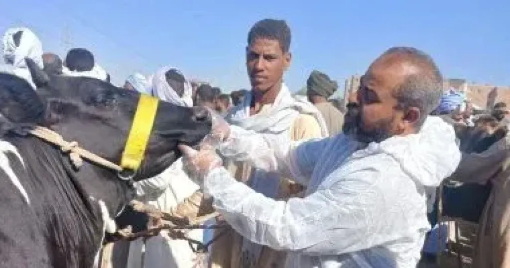 رئيس الطب البيطرى: القوافل المجانية ركيزة أساسية لزيادة الإنتاج الحيوانى
