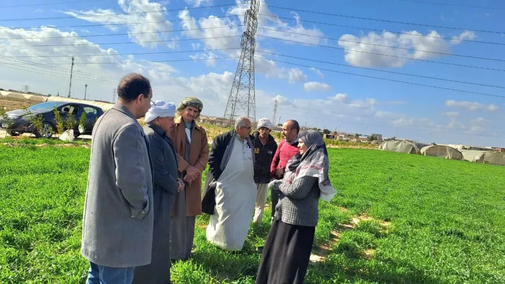 ندوات إرشادية بزراعة الشرقية لدعم محصول القمح وتنمية الثروة الحيوانية