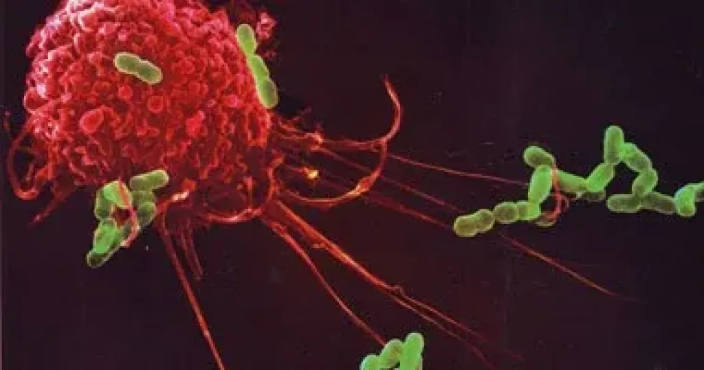 كيف يمكنك الحفاظ على جهاز المناعة وتجنب العدوى؟ وزارة الصحة تجيب