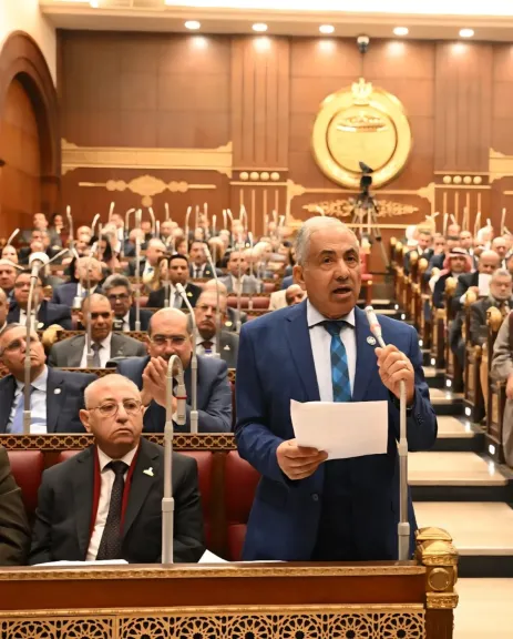 النائب أحمد العوضي: التغيرات المناخية تمس الأمن القومي المصري