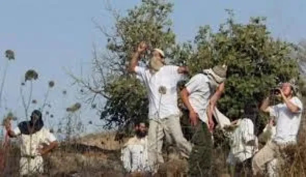 مستوطنون يعتدون على مزارعين فلسطينيين في الأغوار الشمالية