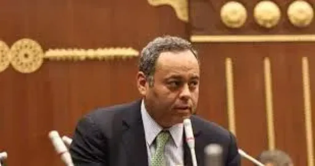 نائب تنسيقية شباب الأحزاب: إدارة الفيضان وتشغيل السد العالي يرتبطان بالأمن المائي