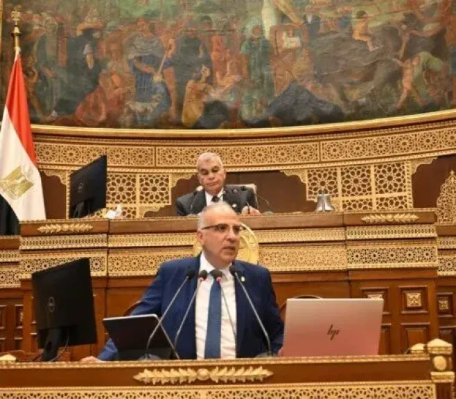 وزير الرى لـ”الشيوخ”: الدولة بتصحح أخطاء عشرات السنين السابقة بإزالة التعديات على النيل