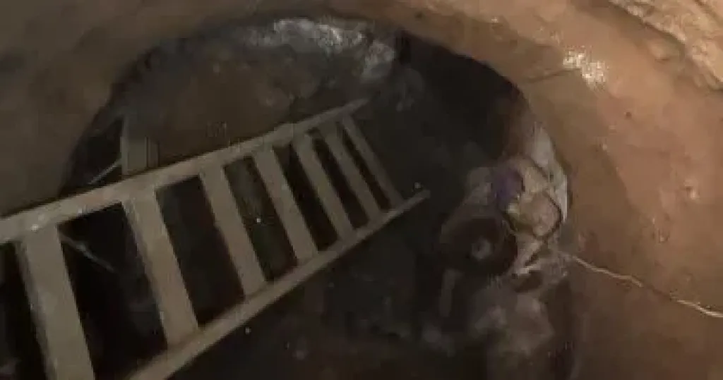 البحث عن شخصين انهارت عليهما الرمال أثناء التنقيب عن الآثار بالفيوم