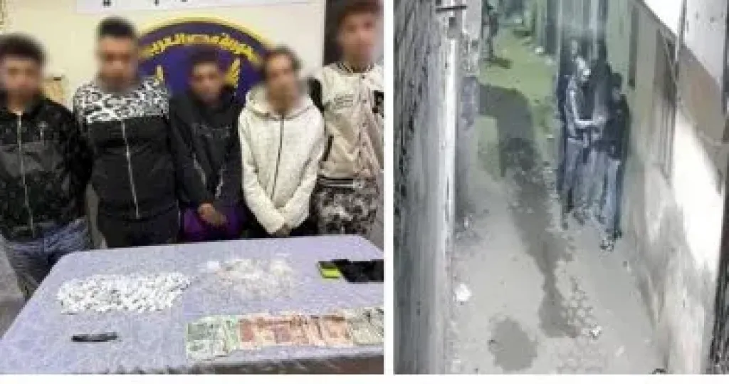 سقوط شبكة ترويج مخدرات بالقليوبية بعد تداول فيديو على السوشيال ميديا