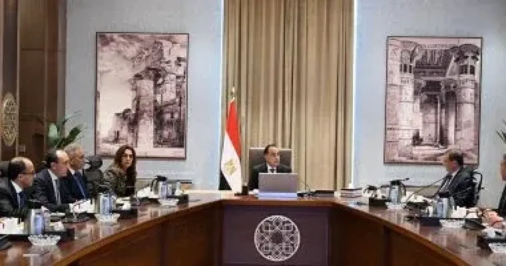 الحكومة: مراكز إيواء للحيوانات الضالة بالمحافظات بعيدا عن الكتلة السكنية