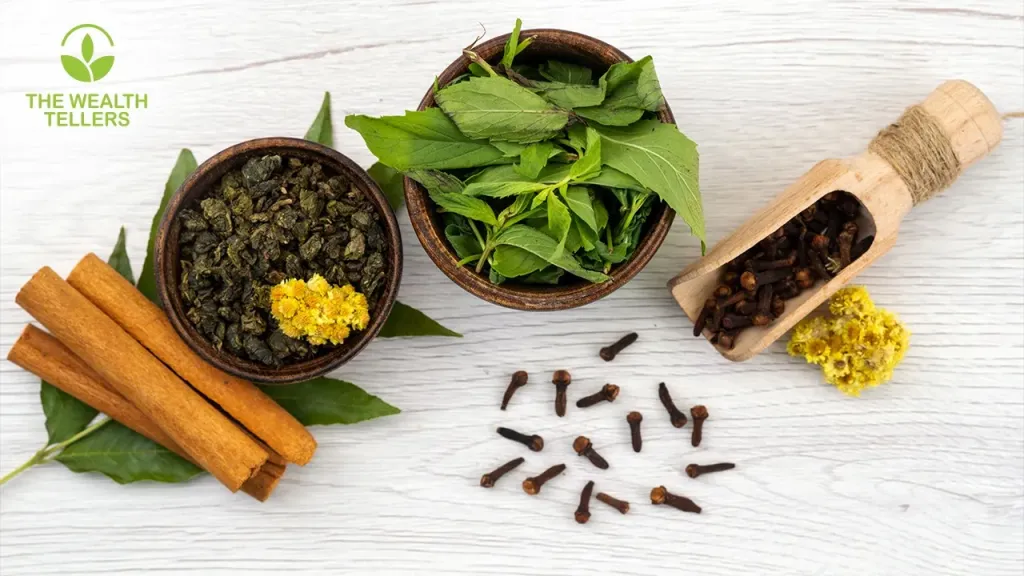 ويـلث تيلرز: البناء على إرث يمتد لأكثر من 30 عامًا في التجارة العالمية