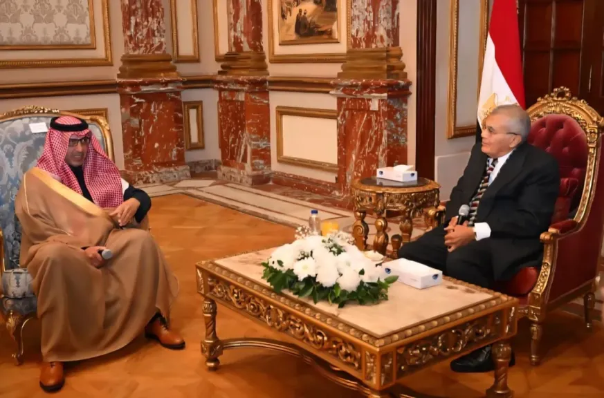 رئيس مجلس الشيوخ يستقبل صالح بن عيد الحصيني سفير المملكة العربية السعودية بالقاهرة |صور