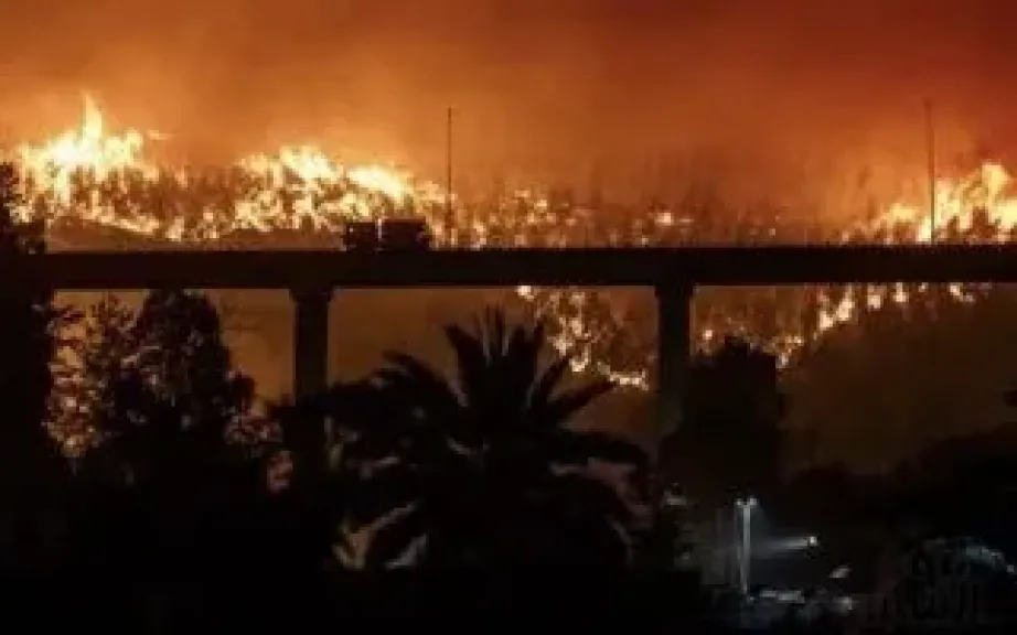 الحرائق تلتهم 36 ألف هكتار من الغابات في الأرجنتين