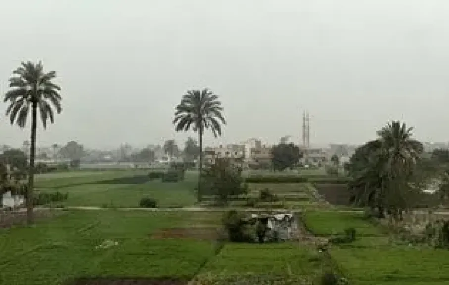 رئيس مركز المناخ يوجه نصائح عاجلة للمزارعين لدعم ”منظومة الجذور”