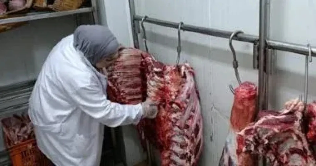 تموين الغربية تضبط 300 كجم لحوم مجهولة المصدر وطن جلسرين غير مطابق للمواصفات
