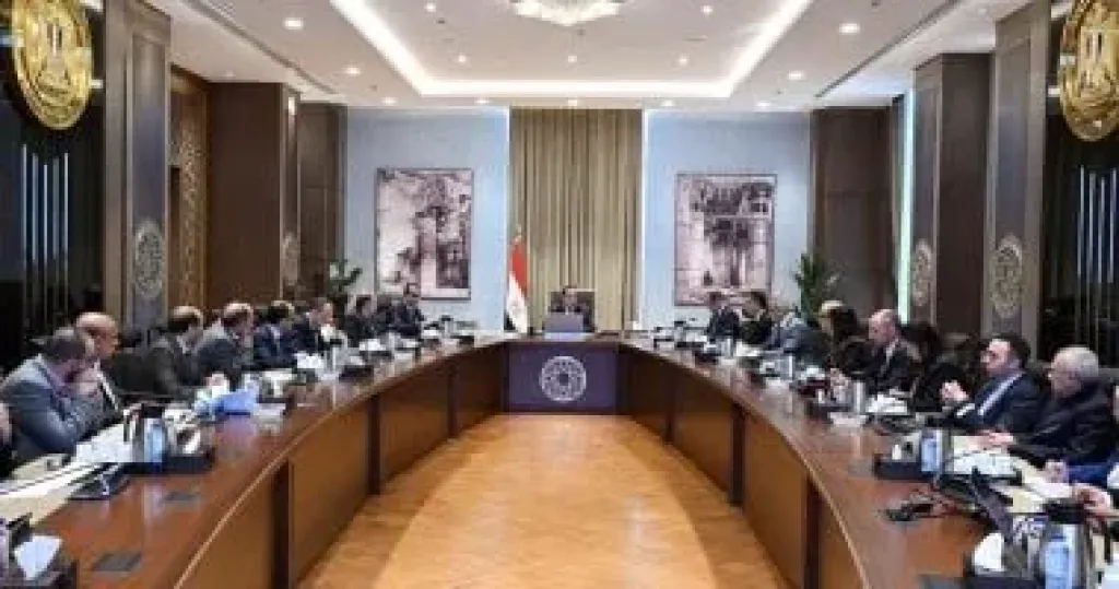 رئيس الوزراء يستعرض موقف توافر الأدوية وسداد مستحقات شركات الدواء