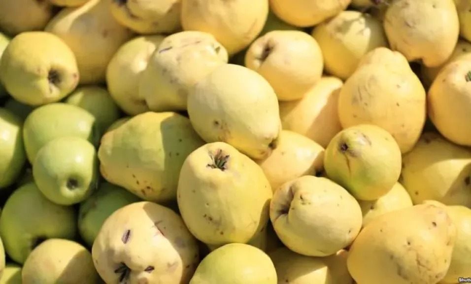 9 فوائد عند تناول الجوافة