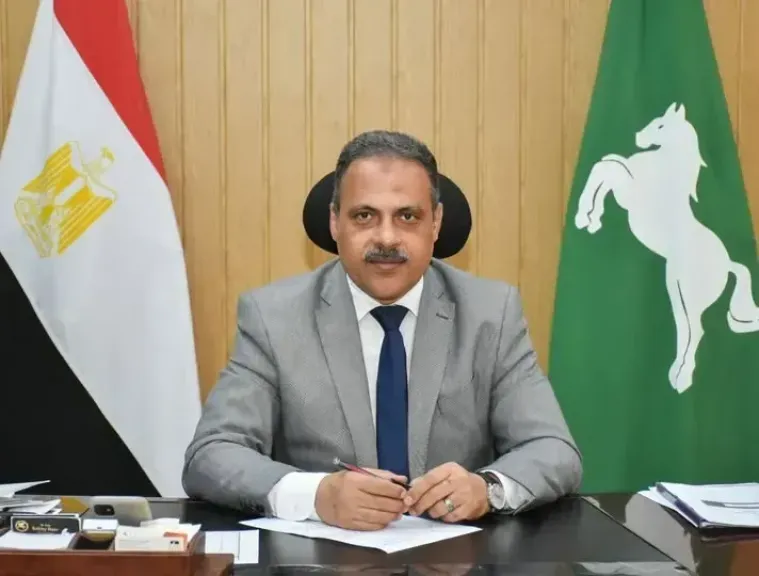 محافظ الشرقية: متابعة أعمال تدعيم حائط ساند بحر فاقوس بنسبة تنفيذ 97%