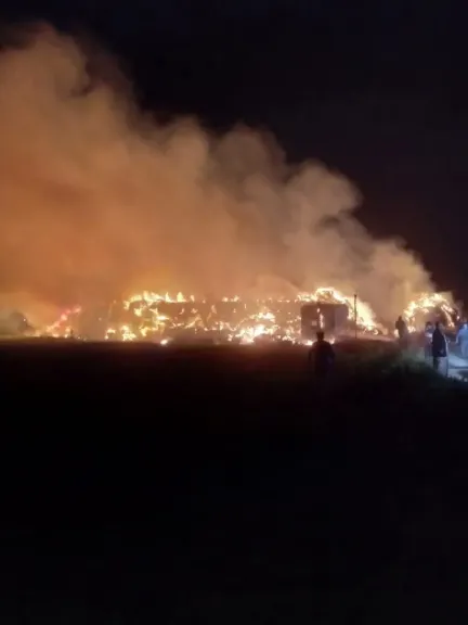 حريق هائل بشونة قش الأرز بقرية بشبيش بالمحلة