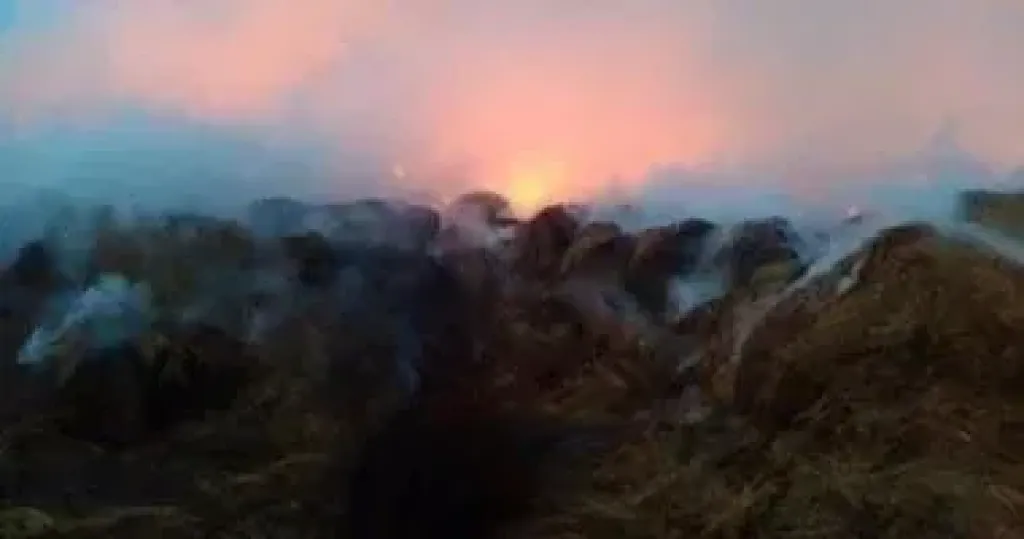 جهود للسيطرة على حريق في شونة تجميع قش أرز بالمحلة