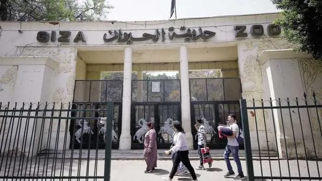 متى تفتح حديقة الحيوان أبوابها للجمهور ..و أبرز ملامح تطوير حديقتي الحيوان والأورمان