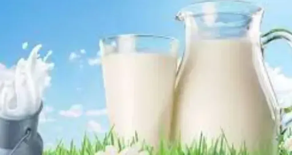 استقرار أسعار البيض والألبان بالأسواق اليوم الإثنين 2 فبراير 2026