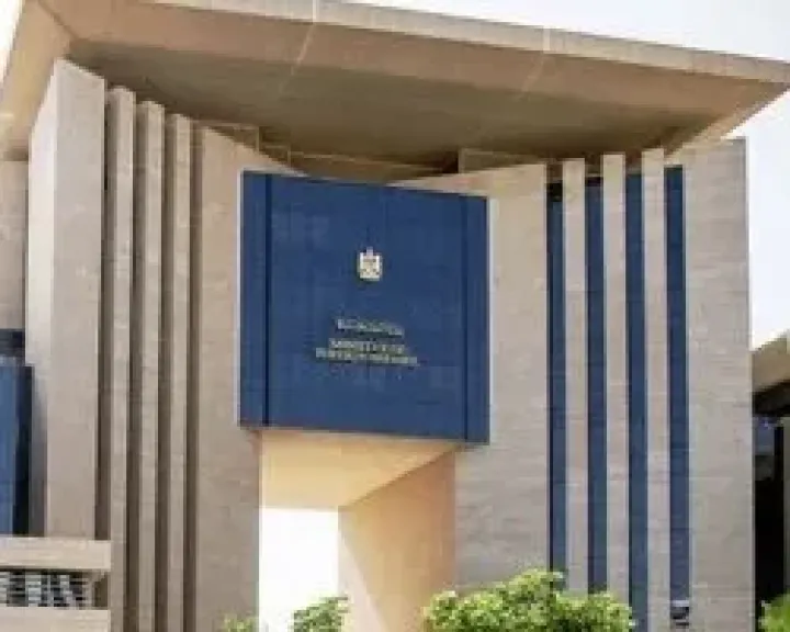 مصر تدين الهجوم الإرهابى على مطار ديورى حمانى بالعاصمة النيجرية نيامى